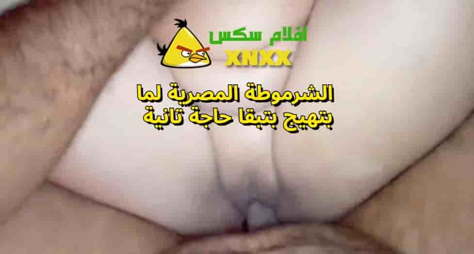 اخ مصري مطلق يركب اخته المتجوزة في مقاطع سكس محارم محرومة علشان جوزها مسافر