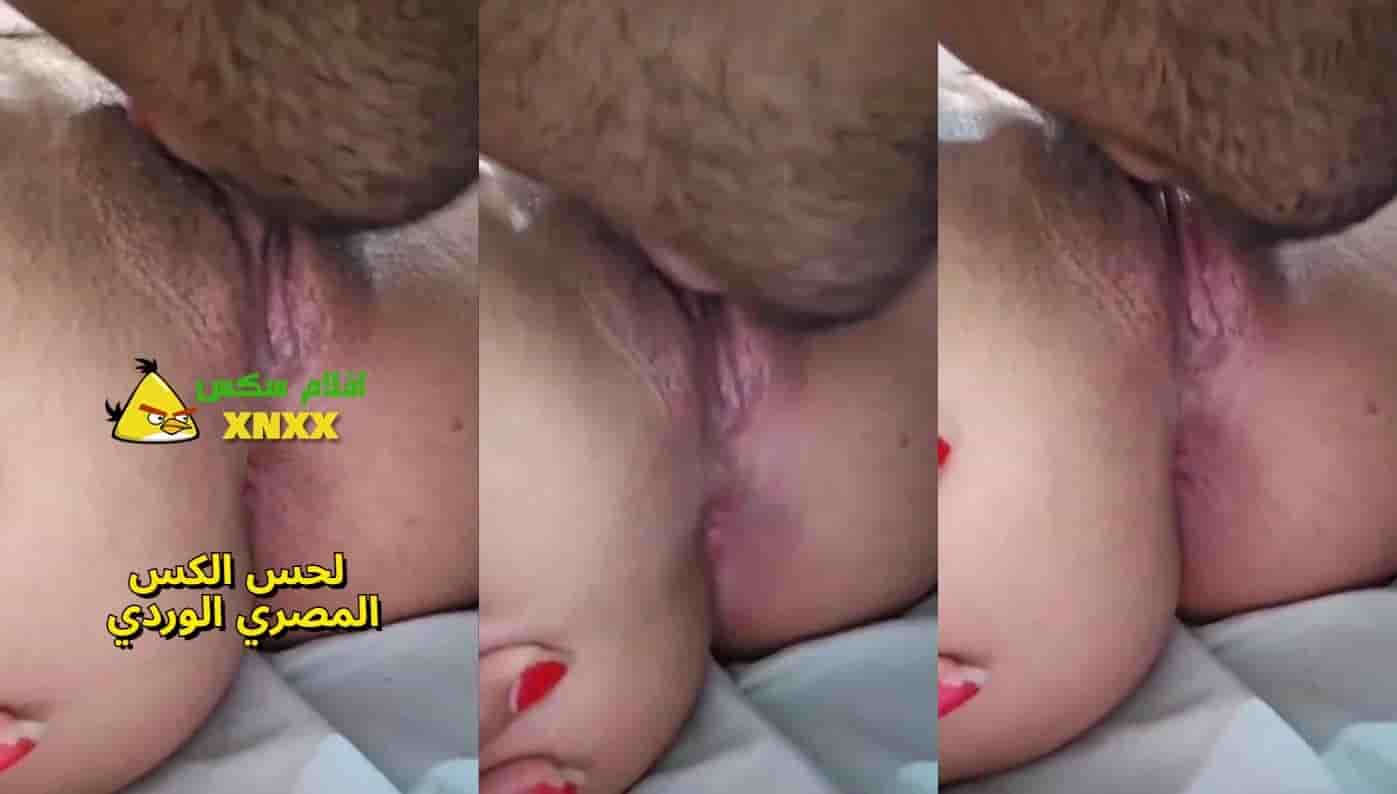 شاب مصري هايج علي كس خالته الوردي في مقاطع سكس محارم يلحس فرجها بمزاج